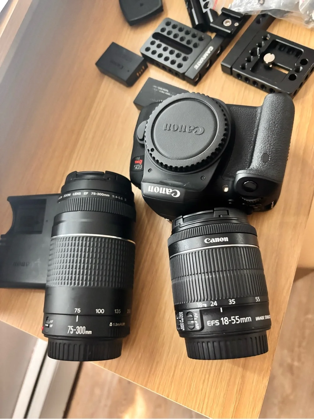 Compact Black Mirrorless Camera with Flip LCD - Black